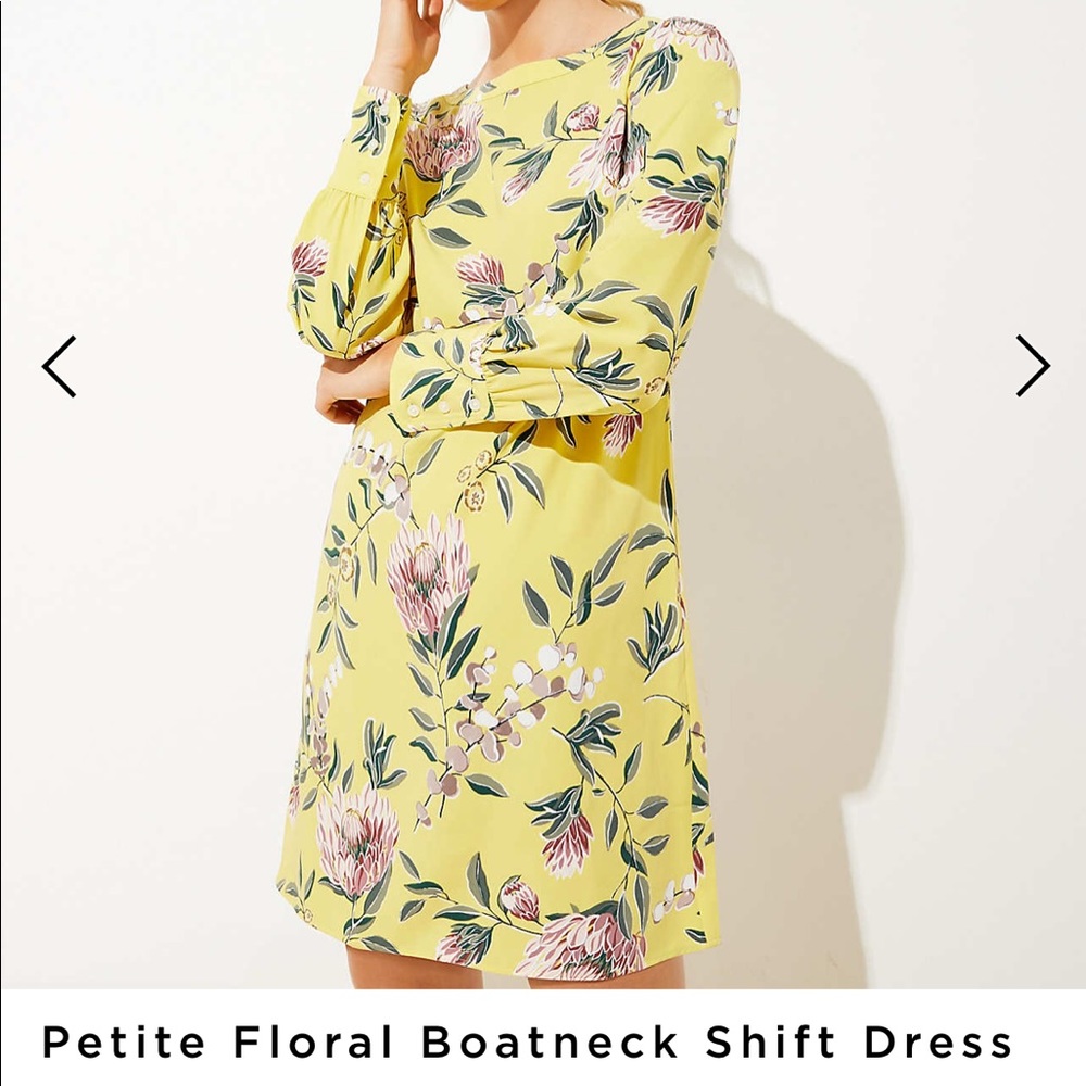 Petite Floral Boatneck Shift Dress - LOFT